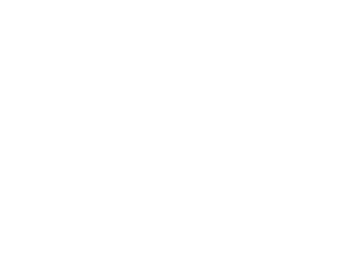 Shine with Natasha Logo